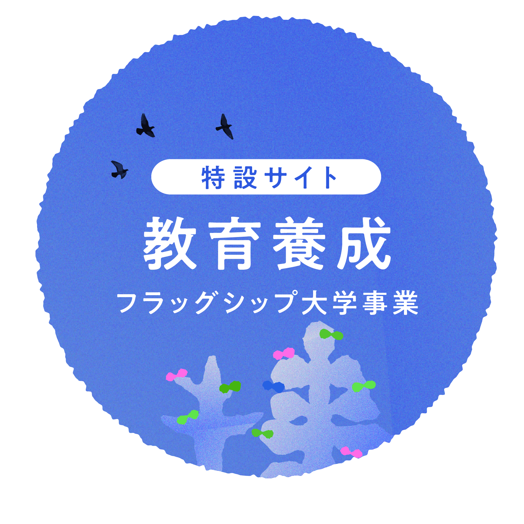 特設サイト｜教育養成フラッグシップ大学事業